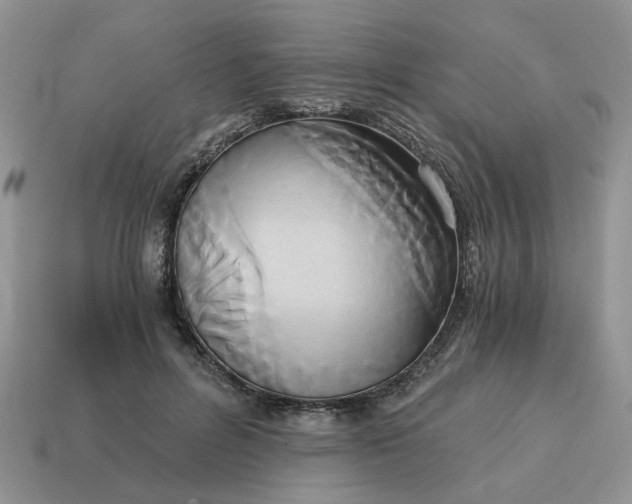 X0000114590600200911091258