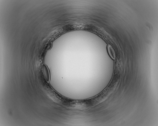 X0000114590601200911091258