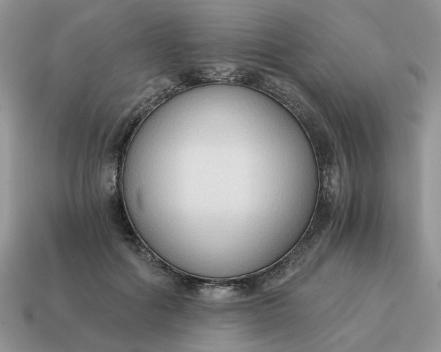 X0000114590602200911091258