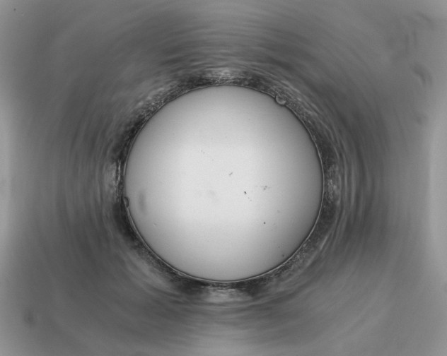 X0000114590605200911091258