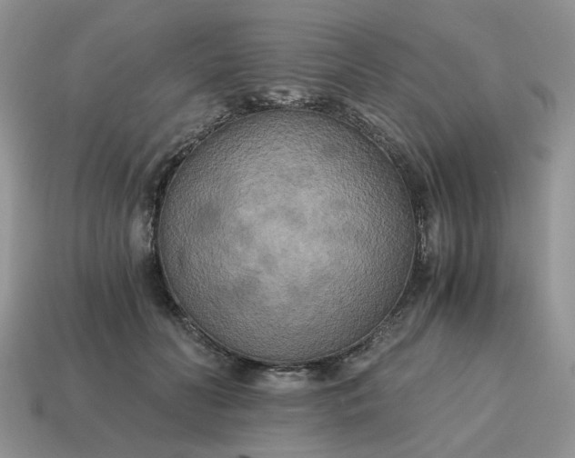 X0000114590606200911091258