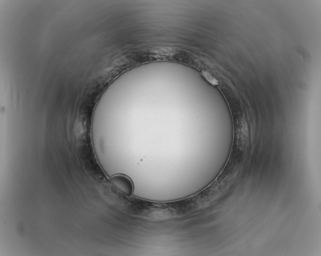 X0000114590608200911091258