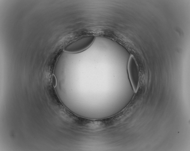 X0000114590609200911091258