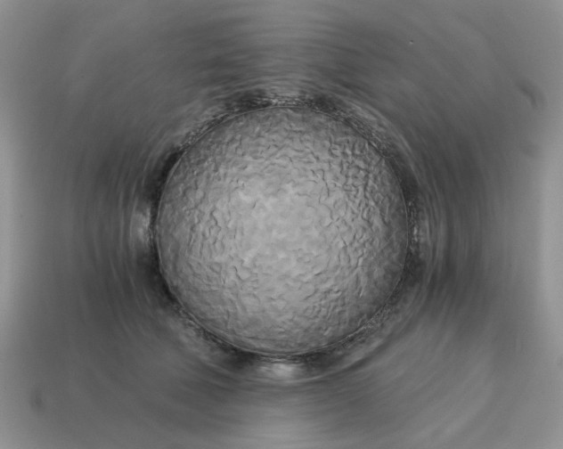 X0000114590610200911091258