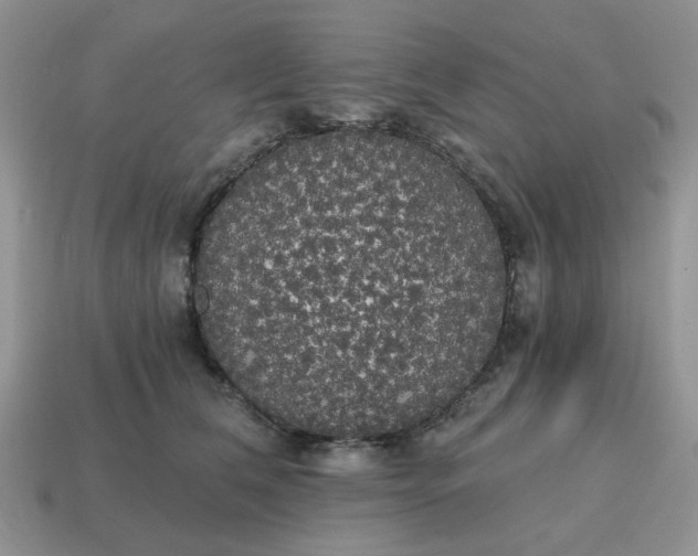 X0000114590612200911091258