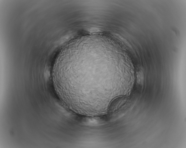 X0000114590618200911091258