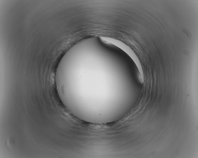 X0000114590621200911091258