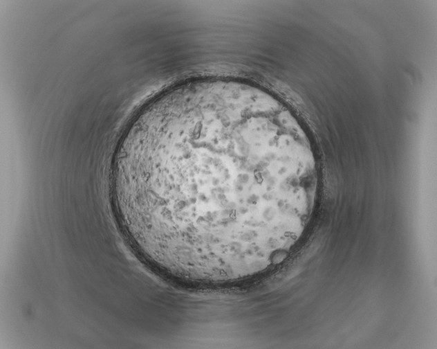 X0000114590625200911091257