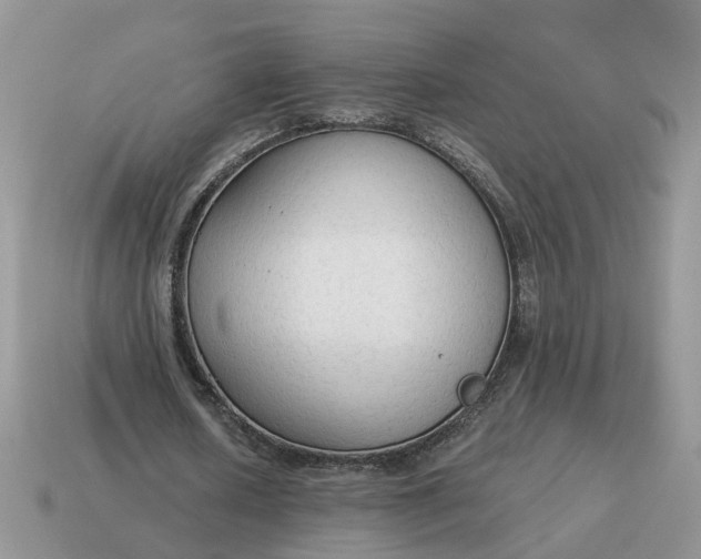 X0000114590626200911091257