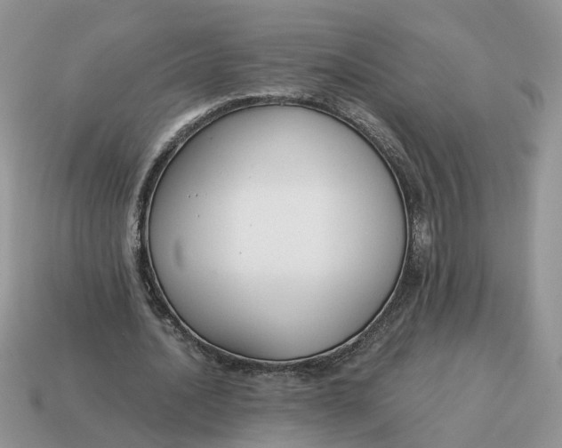 X0000114590628200911091257