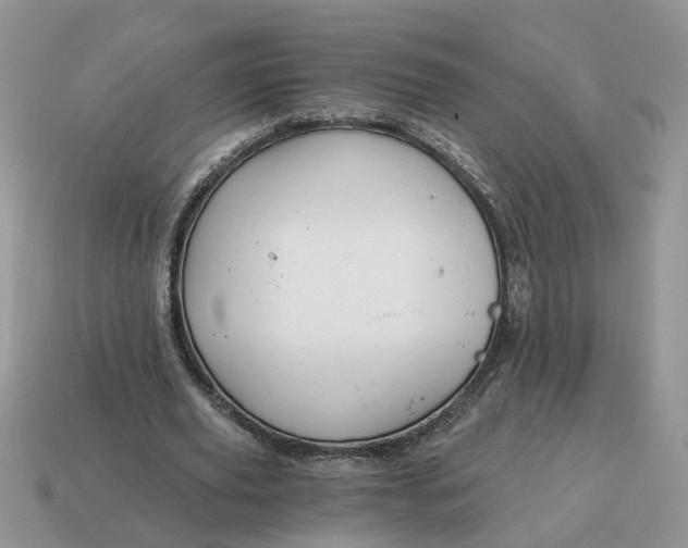 X0000114590629200911091257