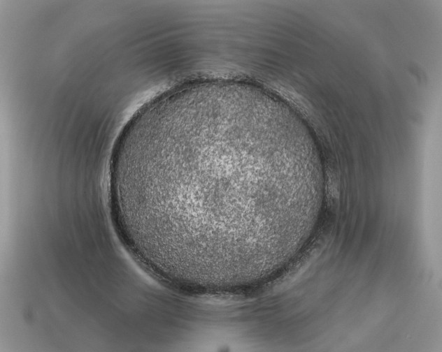 X0000114590630200911091257