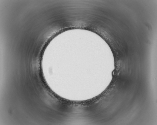 X0000114590632200911091257