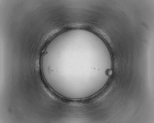 X0000114590633200911091257