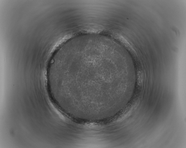 X0000114590634200911091257