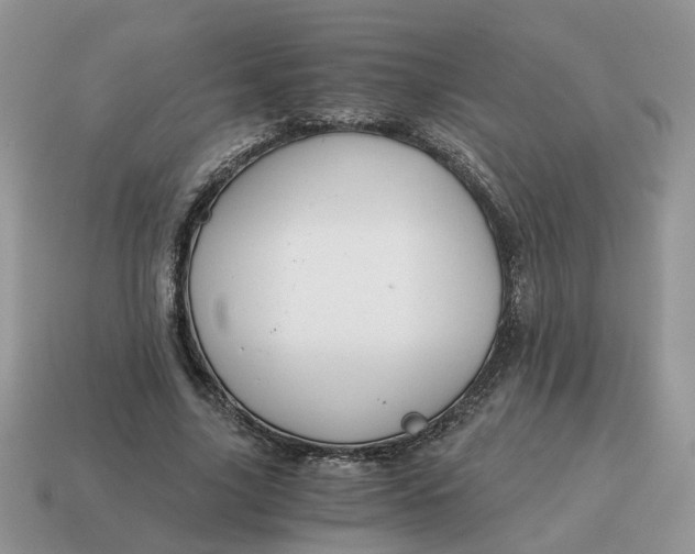 X0000114590635200911091257