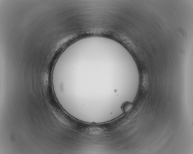 X0000114590636200911091257