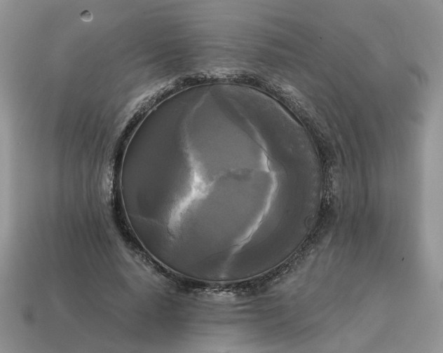 X0000114590640200911091257