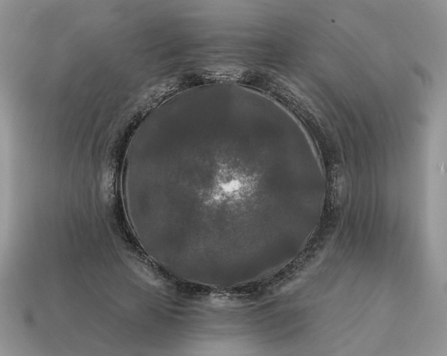 X0000114590641200911091257