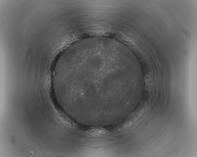 X0000114590642200911091257