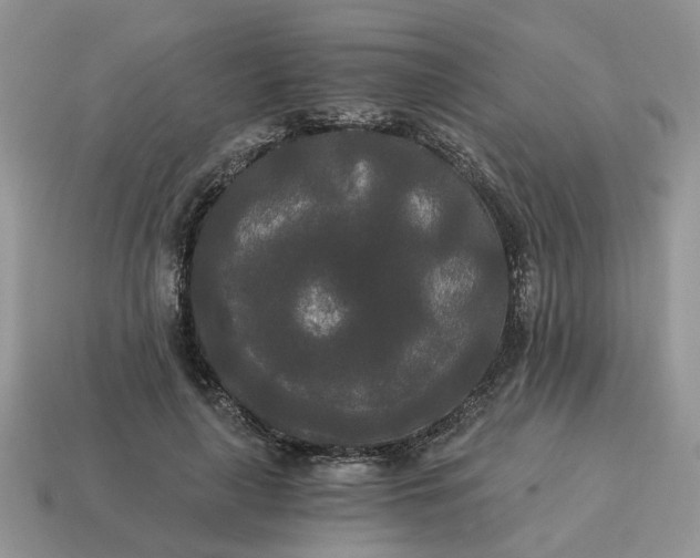 X0000114590643200911091257