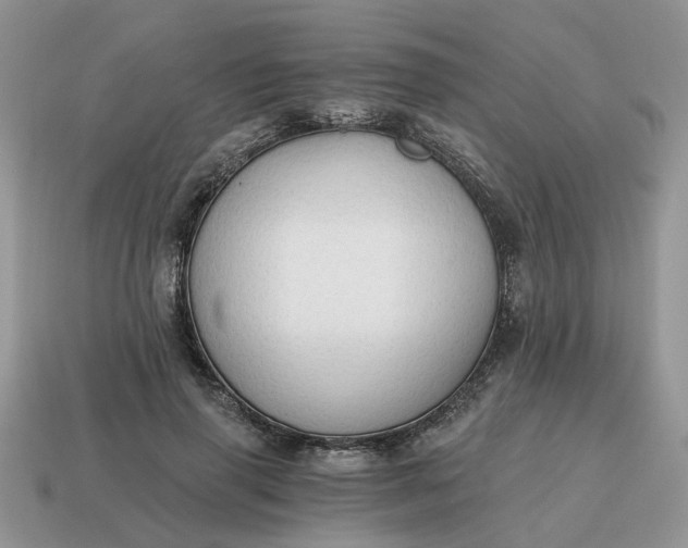 X0000114590645200911091257