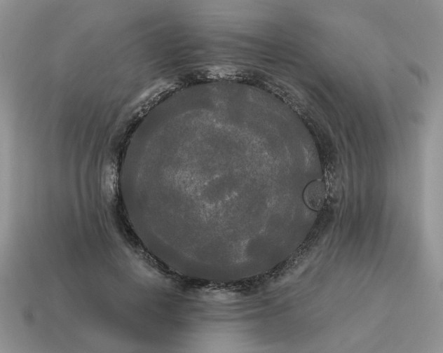 X0000114590648200911091257