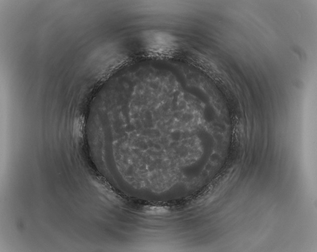 X0000114590649200911091257