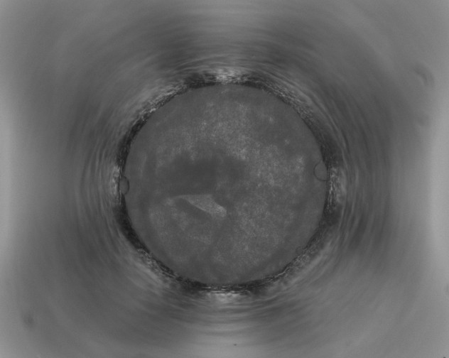 X0000114590650200911091257