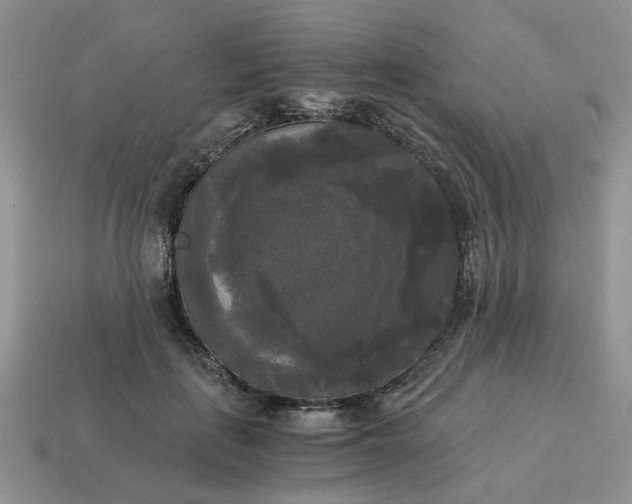 X0000114590651200911091257