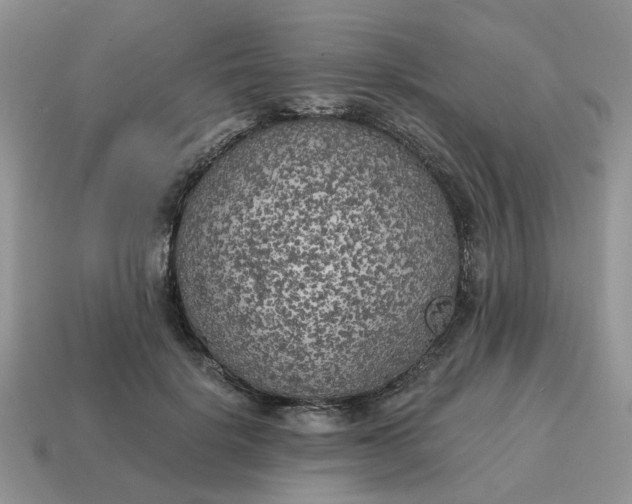 X0000114590652200911091257