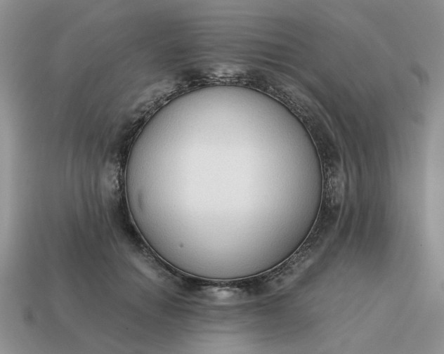 X0000114590654200911091257