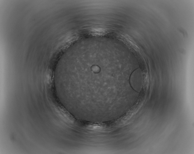 X0000114590655200911091257