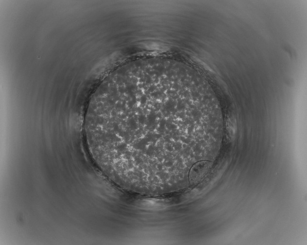 X0000114590657200911091257