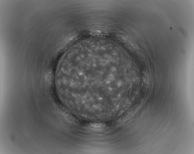 X0000114590659200911091257