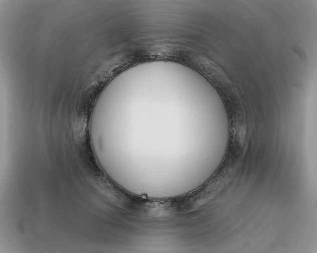 X0000114590660200911091257