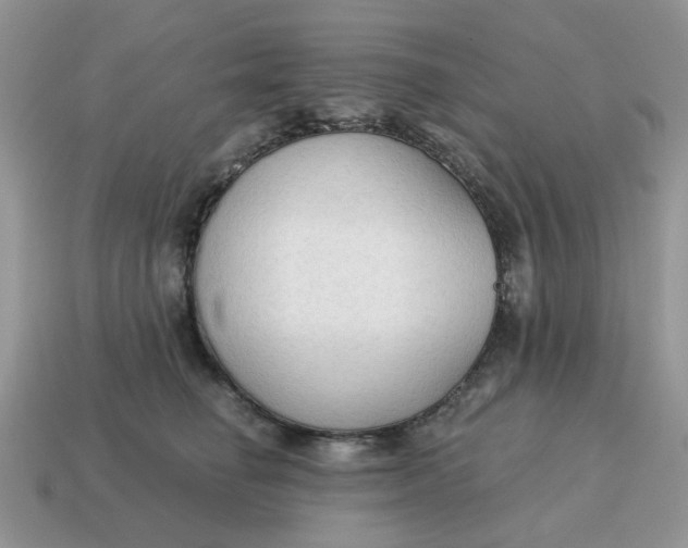 X0000114590662200911091257