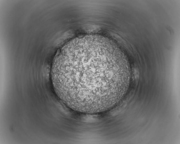 X0000114590664200911091258