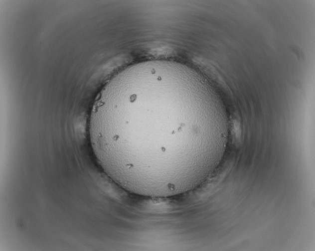 X0000114590668200911091258