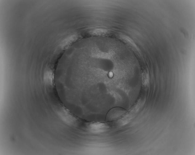 X0000114590669200911091258