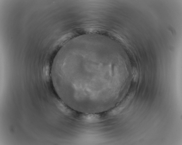 X0000114590670200911091258