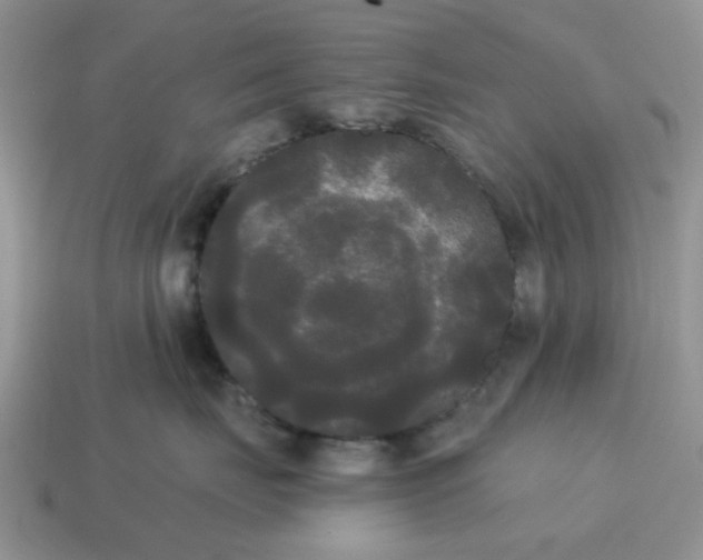 X0000114590671200911091258