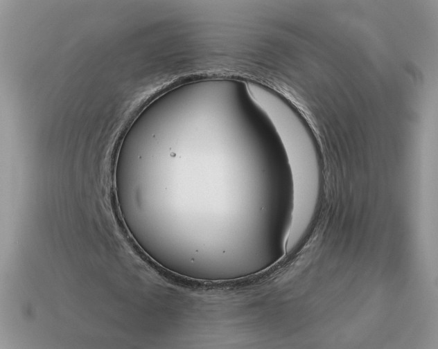 X0000114590673200911091257