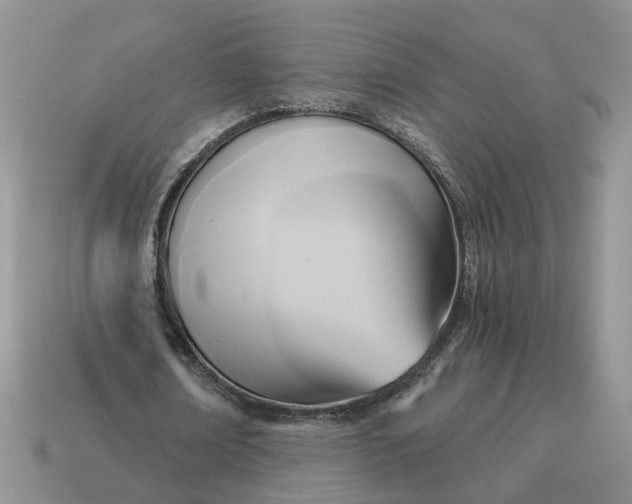 X0000114590674200911091257