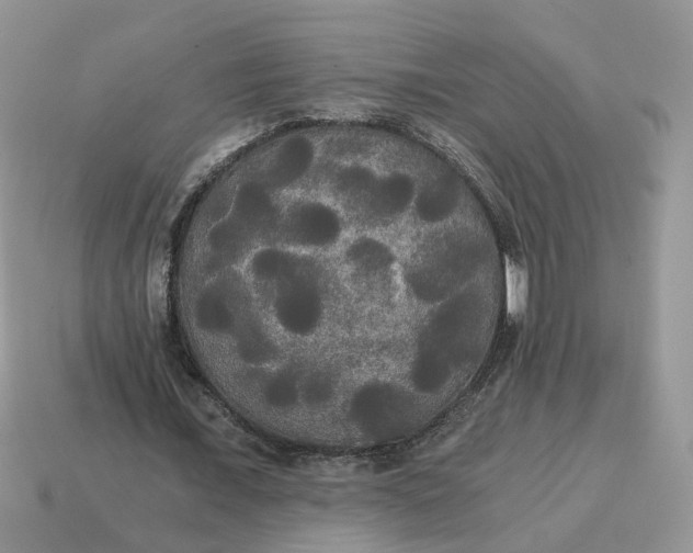 X0000114590675200911091257