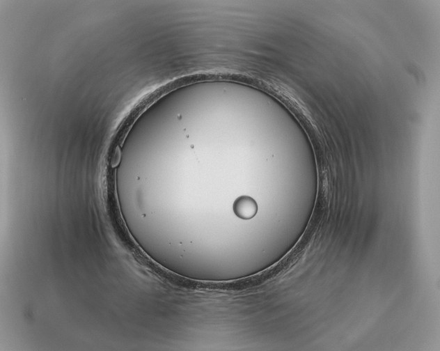 X0000114590676200911091257