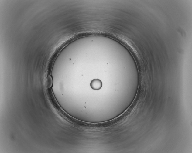 X0000114590677200911091257