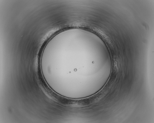 X0000114590678200911091257