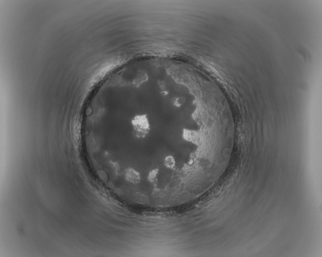 X0000114590679200911091257