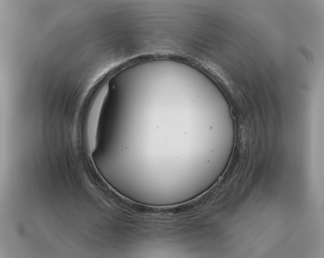 X0000114590680200911091257